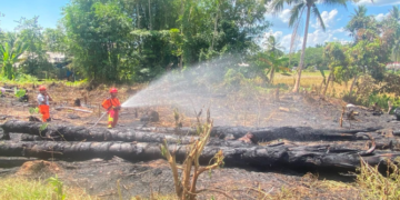 Karhutla Mendominasi Bencana per 21 Juli 2026, BNPB Imbau Kesiapsiagaan Daerah